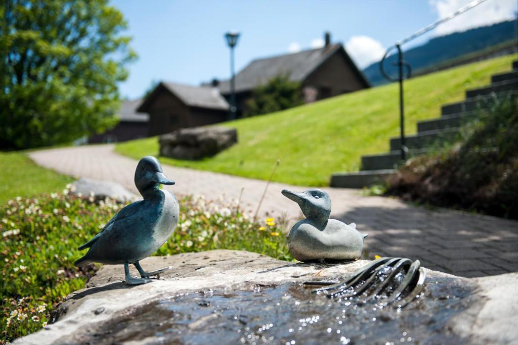 Schwendi Lodge Unterwasser Kültér fotó
